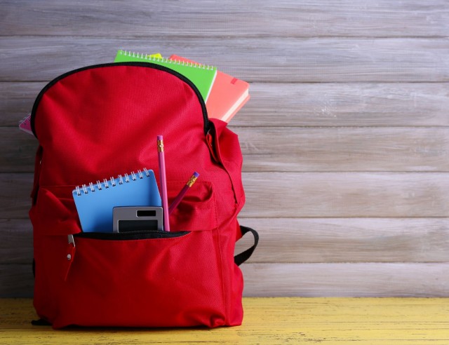 Las mochilas escolares deben ser ligeras, pesar menos del 15% del peso corporal del menor.