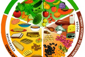 plato del buen comer, dieta nutritiva, beneficios a tu salud,Frutas y verduras, leguminosas, alimentos de origen animal, proteínas al organismo, cereales, buena alimentación, alimentación equilibrada,