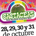 feria de las cactáceas, Axapusco, divertido, aventuya, cultura, gastronomía, ex haciendas, musica, floklor, multicultural, cactus, crasuláceas, iglesia, cultura mexicana. 