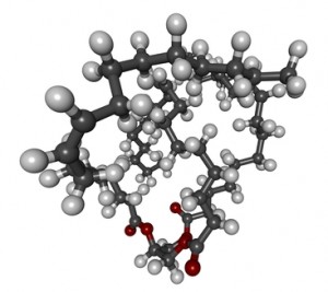 Trigliceridos, grasa, temperatura corporal, hipertrigliceridemía, consumo de calorías, actividad física, tejido adiposo, sobrepeso, obesidad, alimentos fritos, salud integral, enfermedades genéticas, diabetes, caminata,