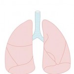 enfermedades pulmonares, problemas respiratorias, síntomas, falta de aliento, factores, tratamiento, asma, educación para la salud, prevención