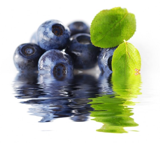 Té de blueberry fresco. La mejor manera de apagar tu sed.