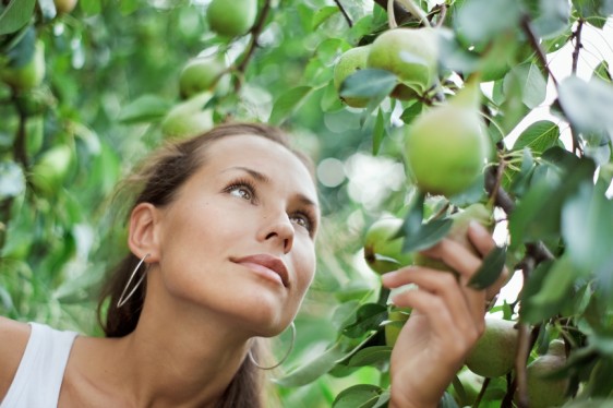 Las peras también aportan cantidades importantes de vitamina C.