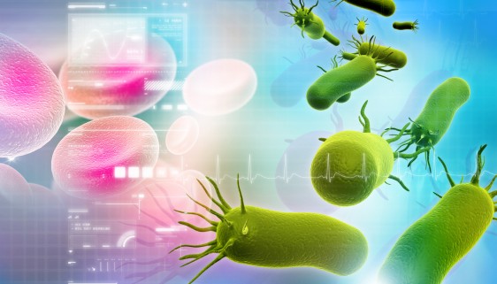 Los microorganismos se utilizan para la elaboración de fármacos, entre otras cosas.