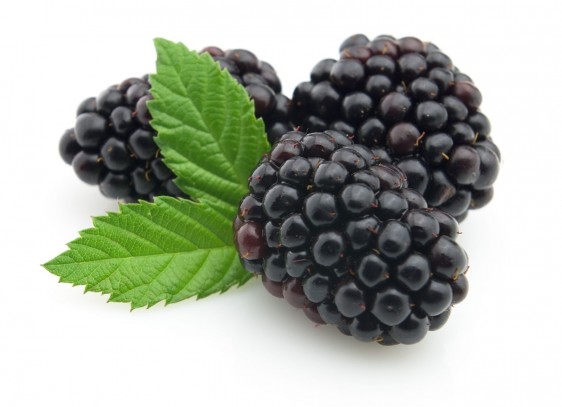 Las Blueberries tienen un alto contenido de antioxidantes que ayudan a revertir el envejecimiento neuronal.