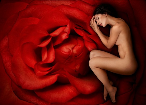 Nujer durmiendo en una rosa roja