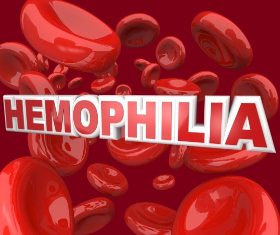 Hemophilia Disorder Disease Word in Blood Stream in Red Cells