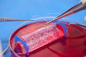 tubo rojo con cultivo de celulas