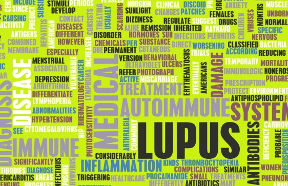 Conforme investigaciones recientes, las células madres dentales  ayudarían a regular la actividad del sistema inmunológico, normalizando sus funciones y combatiendo los efectos del Lupus.