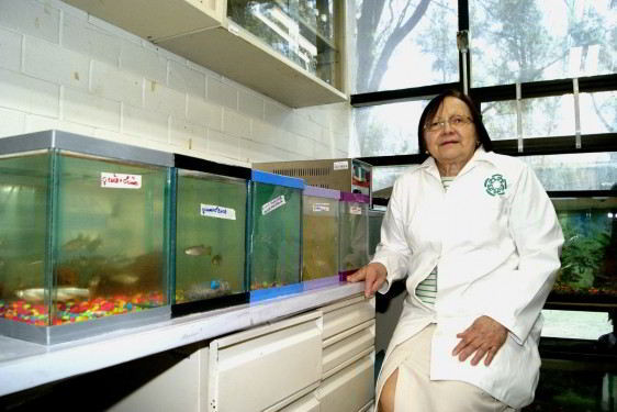 Liliana Favari Perozzi, en su laboratorio con peceras