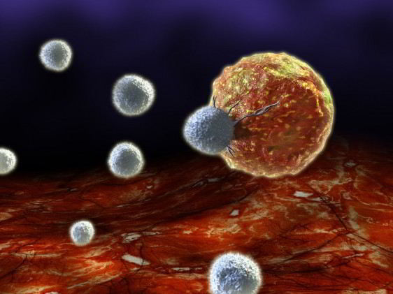 Ilustración de una célula siendo atacada por células T