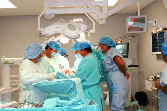 Los órganos se trasplantaron en diferentes Institutos Nacionales de Salud y en el Centro Médico Nacional Siglo XXI