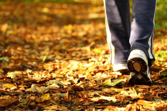 Acercamiento al tenis de una persona caminando en un camino lleno de hojas secas en un bosque