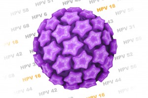 Ilustracion del virus del papiloma humano