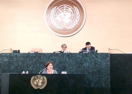 secretaria general de Sanidad y Consumo, Pilar Farjas en el podium de Naciones Unidas