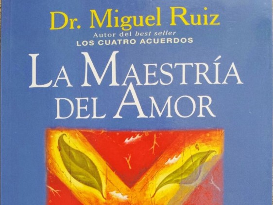 El autor plantea que son muchos los supuestos y las creencias que, basados en el miedo, socavan el amor y originan conflictos y sufrimiento en nuestras relaciones: “La felicidad sólo puede provenir de tu interior y es el resultado de tu amor.