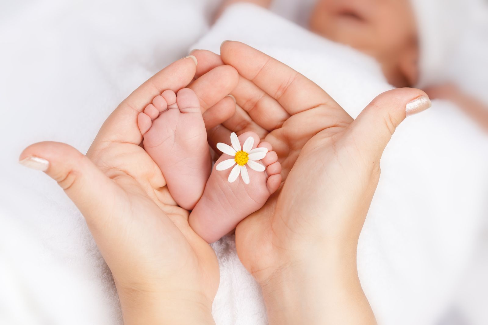 Manos de mujer sostenido los pies de un bebe que tiene una flor de margarita