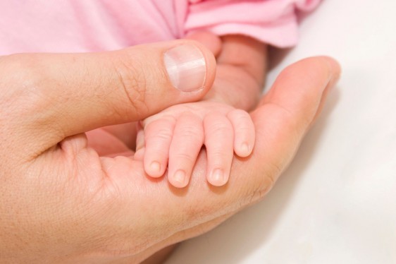 Acercarcamiento a la mano de un adulto que sostiene la mano de un bebé