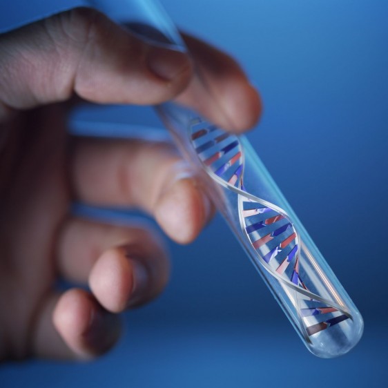 Una mano sosteniendo un tubo de ensayo en el interior una figura de ADN