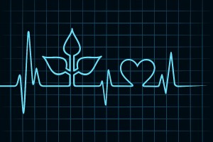 Electrocardigrama en forma de hoja y corazón