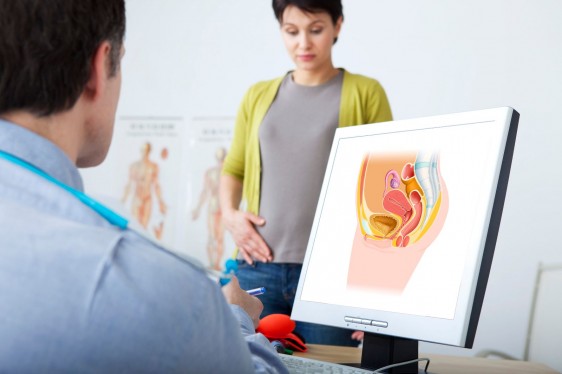 Un ginecólogo observando una ilustración a la izquierda con una mujer de pie