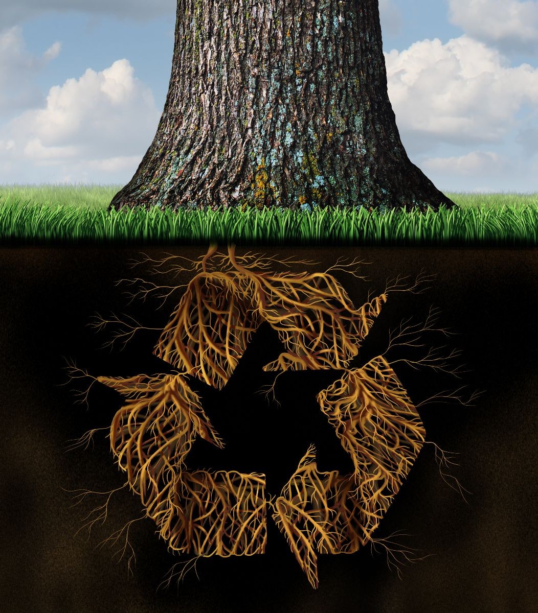 Ilustración de un árbol con raíces en forma de signo de reciclar
