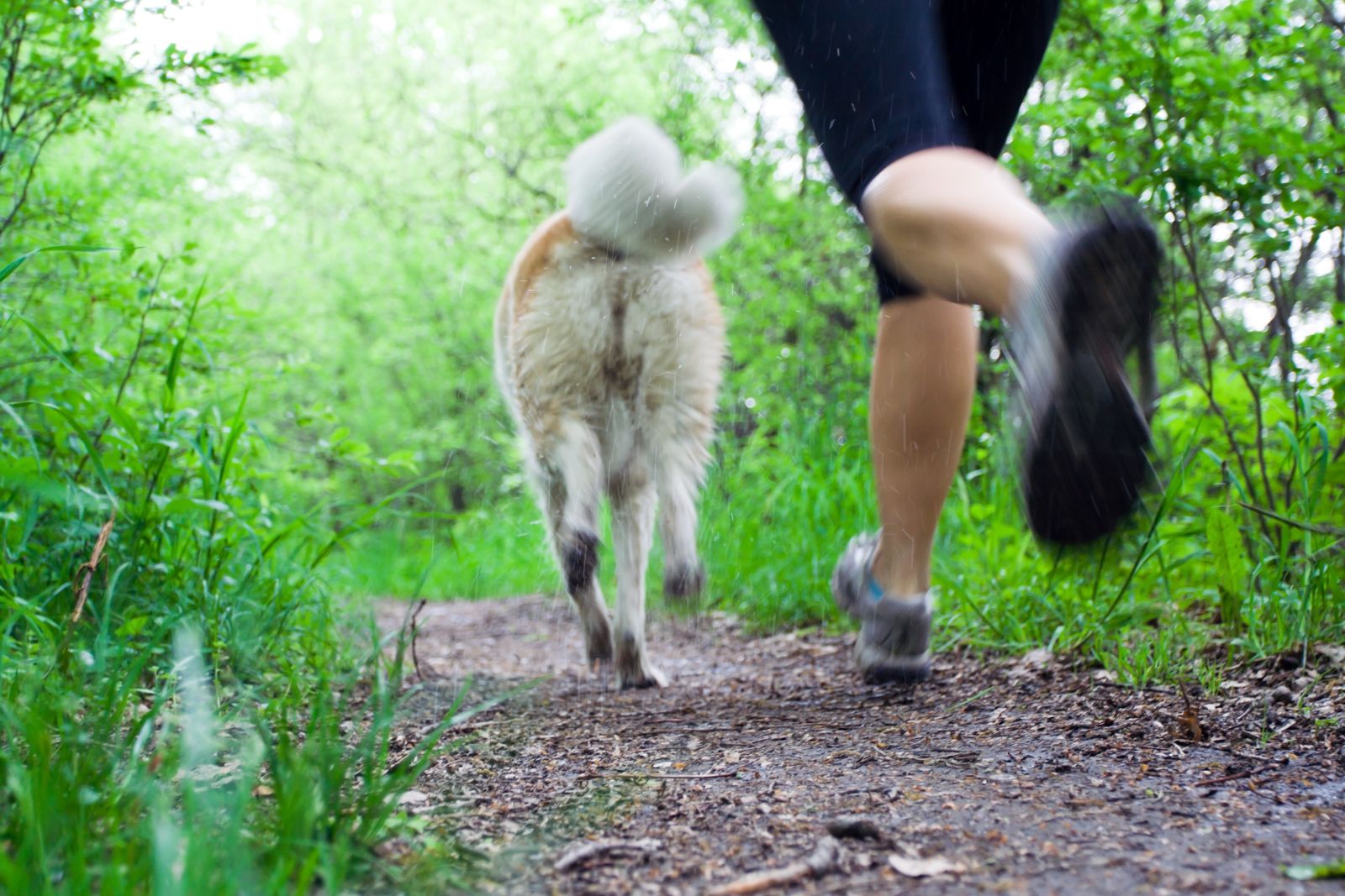 Acercamiento a una mujer corrindo en un parque con un perro