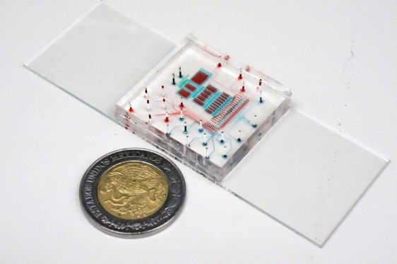 Microchip al lado de una moneda