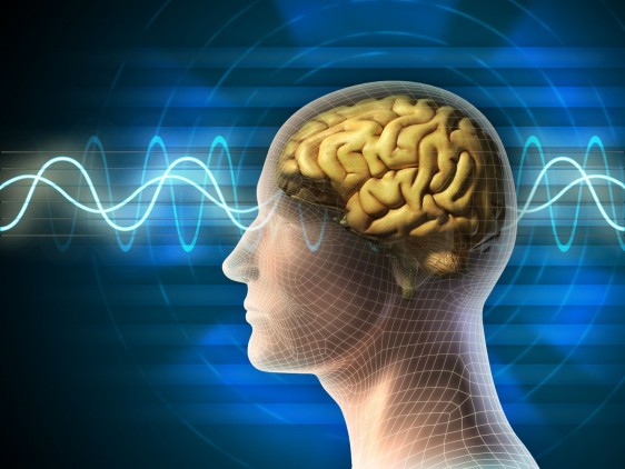 Ilustración de una electroencefalografía y la vaneza transparente de una persona para dejar ver el cerebro