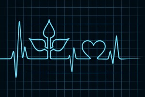 Ilustración de electrocardiograma con forma de planya y corazón