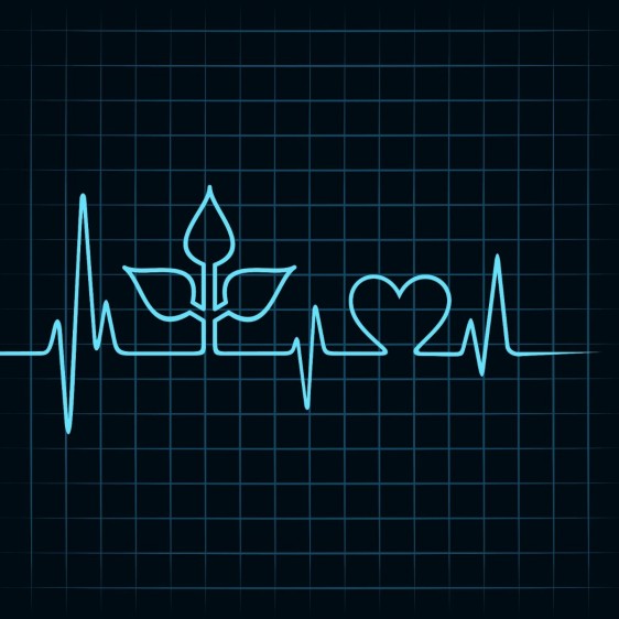 Ilustración de electrocardiograma con forma de planya y corazón