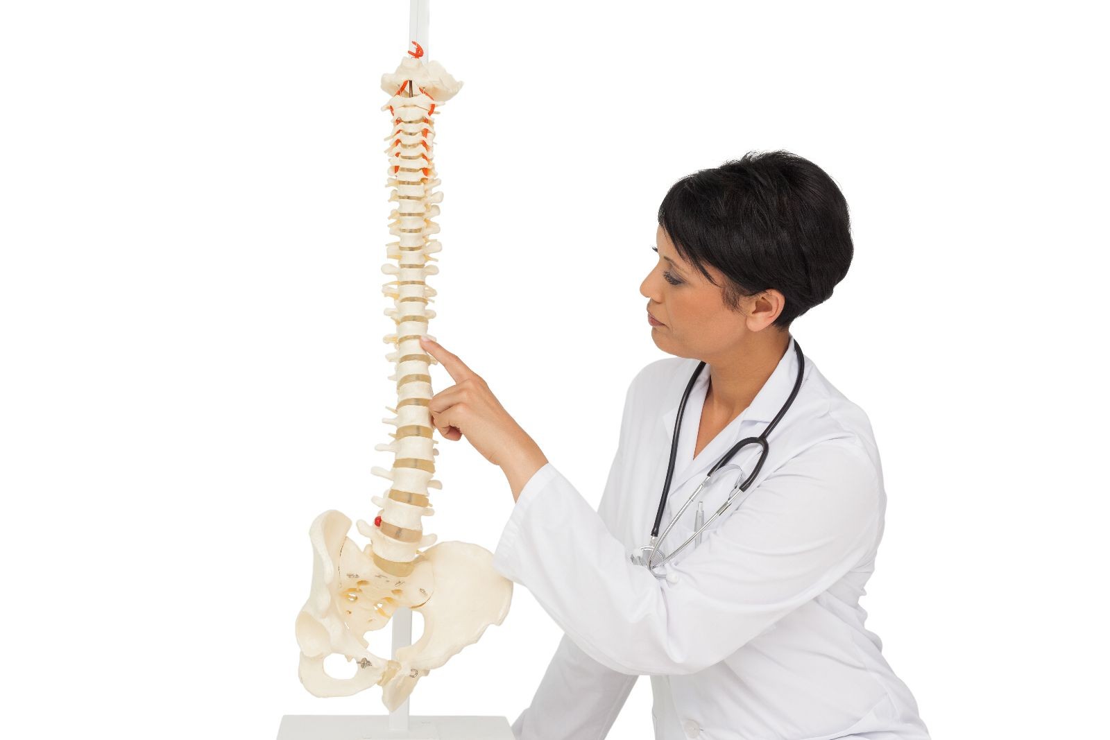 Fisioterapeuta mostranndo una columna vertebral