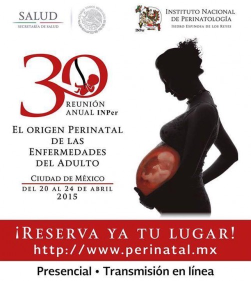Mujer embarazada y texto del 30ª Reunión Anual “El Origen Perinatal de las Enfermedades del Adulto” del Instituto Nacional de Perinatología, Isidro Espinosa de los Reyes