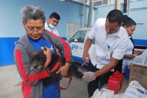 Mujer sostiene a su perro mientras el veterinario aplica una vacuna