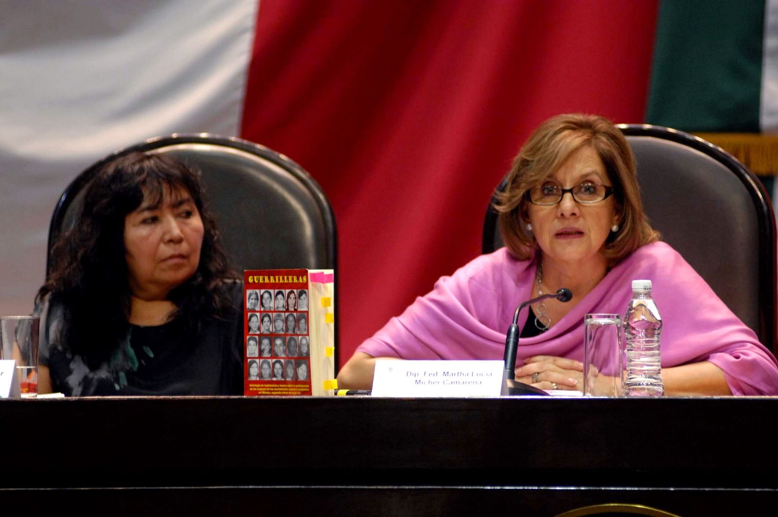 María de la Luz Aguilar Torres y Martha Lucía Mícher Camarena