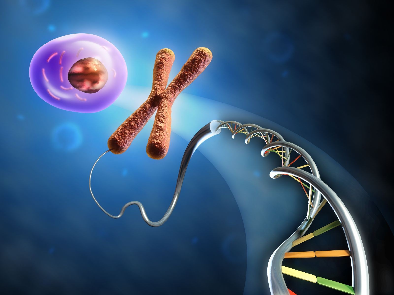 Cadena de ADN y celula