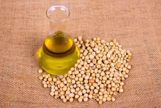 Envase con aceite de soya sobre una mantel con semillas de soya