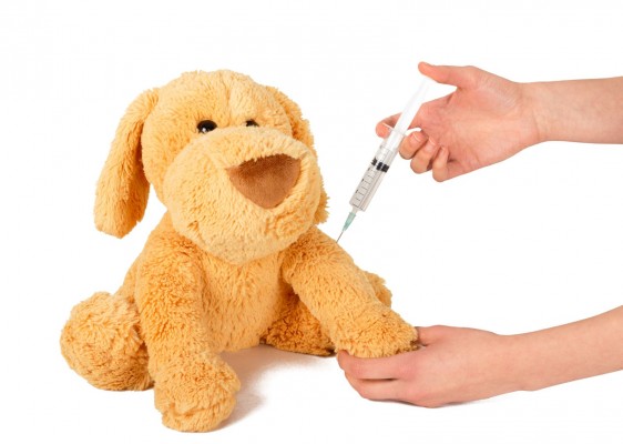 Pediatra "aplica" vacuna protectora a perro de peluche