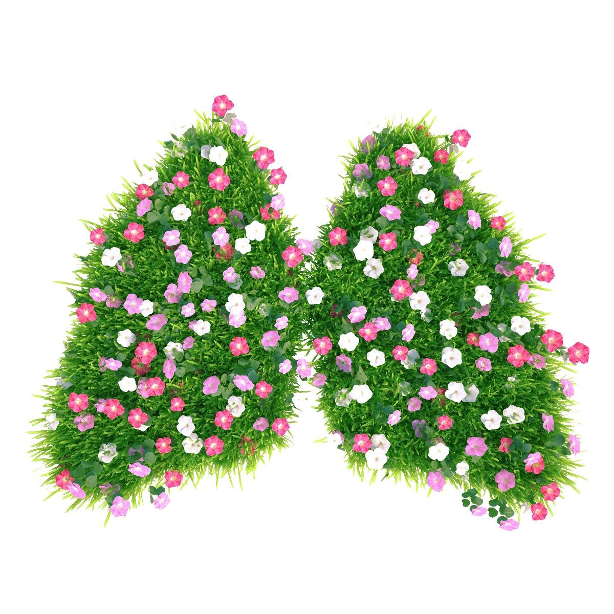 Cortes de pasto con flores en forma de pulmones