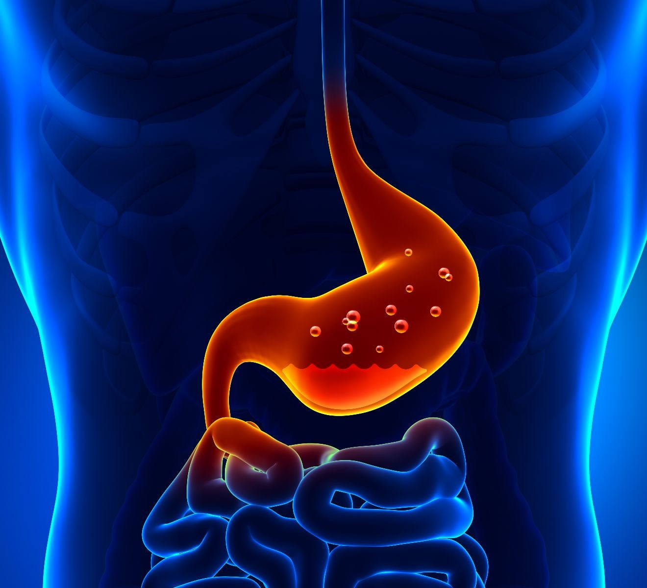 Ilustración del estomago con ácido gástrico