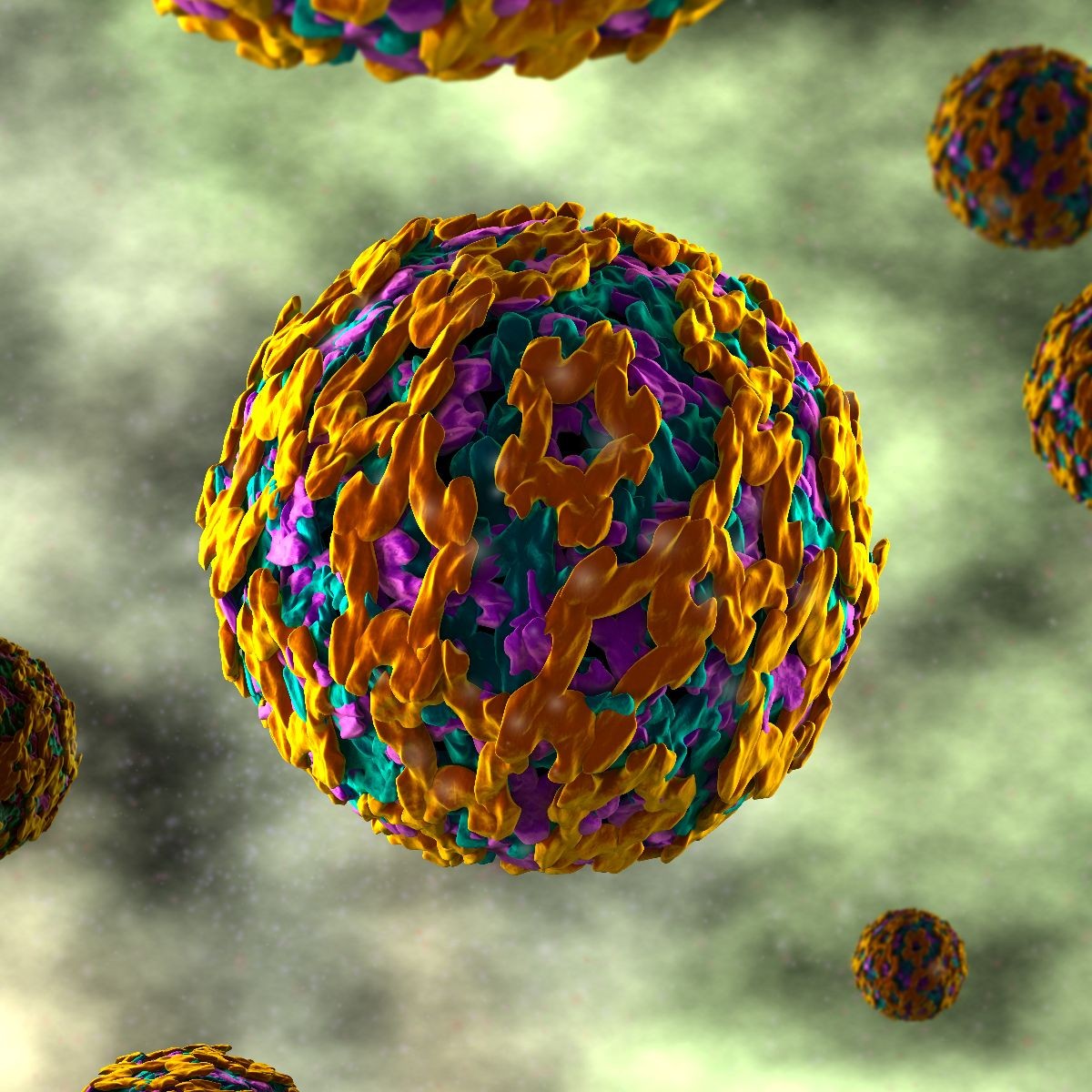 Virus de la fiebre amarilla