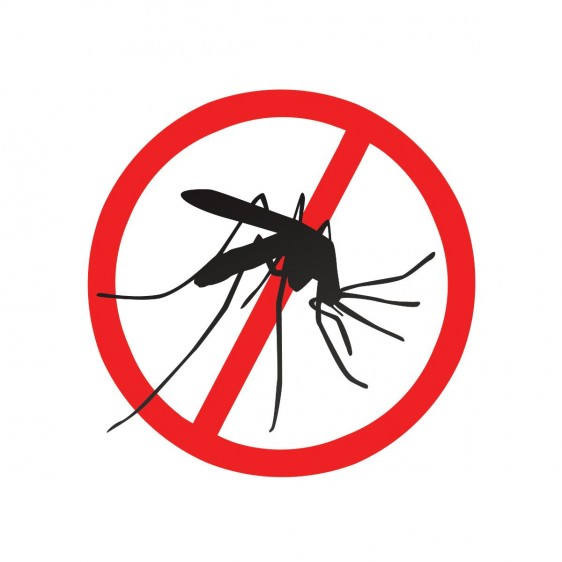Ilustración de mosquito prohibido