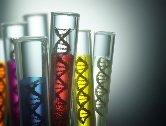 Tubos de ensayo con ñoquuido de color y modelos de ADN en su interior