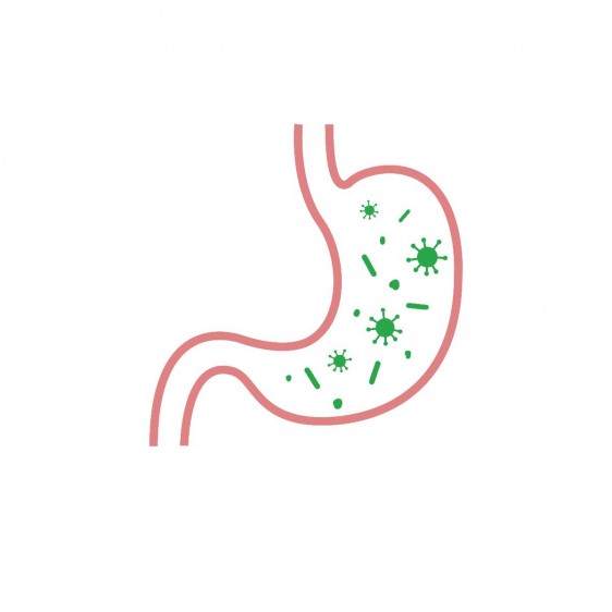 Ilustración de un estomago con virus