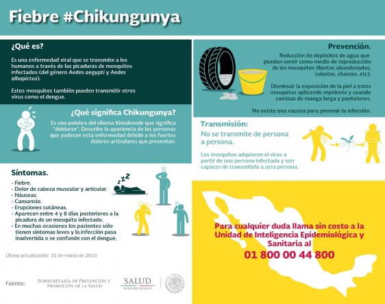 Infografía del virus del chikungunya