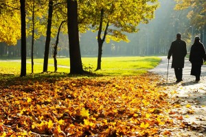 Adultos mayores caminando en un parque en otoño