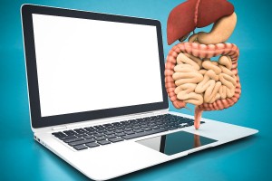 Ilustración de computadora laptop con modelo del sistema digestivo