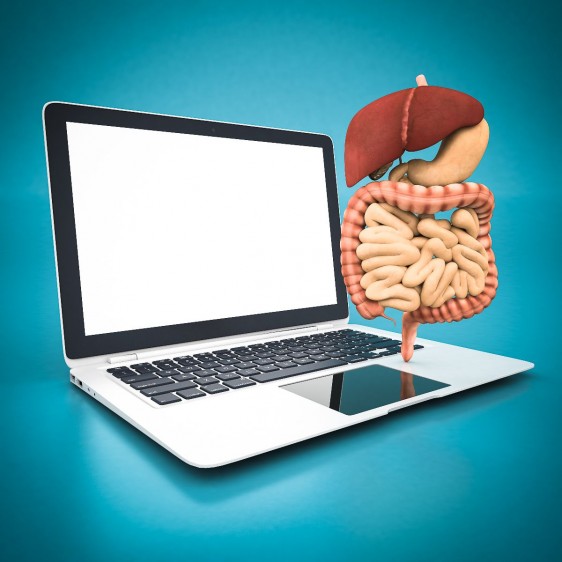 Ilustración de computadora laptop con modelo del sistema digestivo
