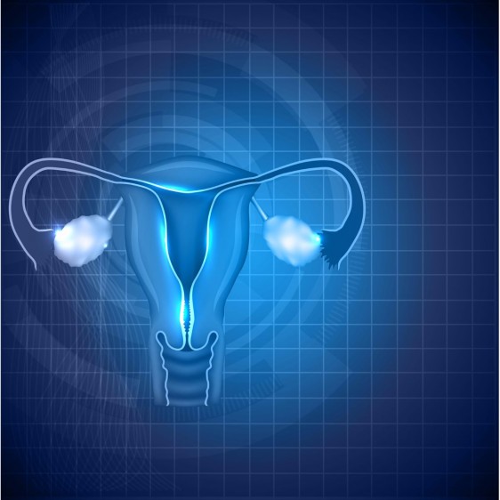 Cuando los fibromas uterinos ocasionan síntomas, tales como sangrado y cólicos, el tratamiento apunta a controlar los síntomas o se enfoca en encoger o en extirpar los fibromas. Por lo general, las alternativas de tratamiento se basan en la gravedad de los síntomas, así como en el tamaño y ubicación de los fibromas.