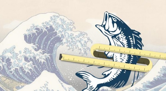 Ilustración de ola on un pescado encima una cinta metrica